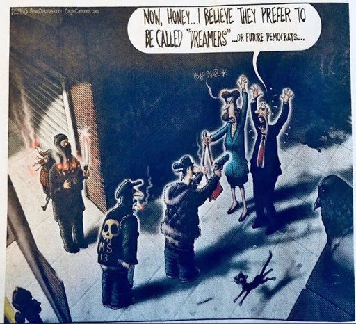 Albuquerque Journal Publishes Racist &#8220;Dreamers&#8221; Political Cartoon, Issues Apology