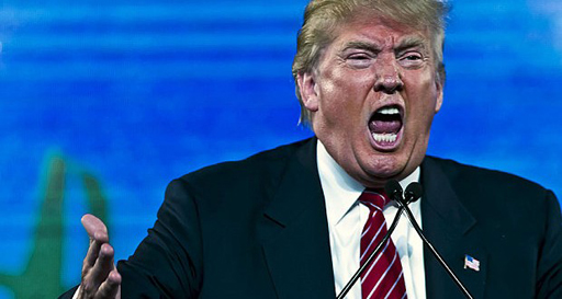 Donald Trump tweets that his followers are the smartest and most loyal in history.