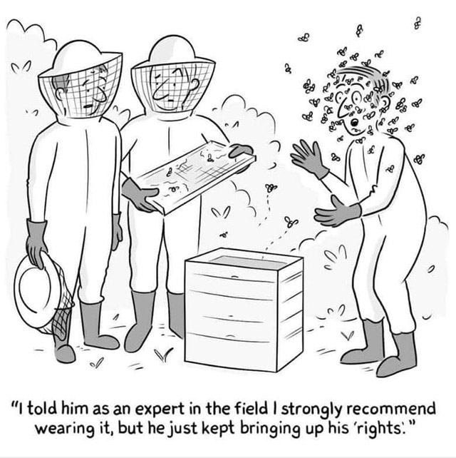 Two bee keepers watch a third being stung by bees while not wearing protective gear. Text reads, "I told him as an expert in the field I strongly recommend wearing it, but he just kept bringing up his 'rights.'"