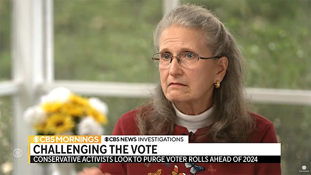 Gail Lee, a Trump supporter, has filed over 500 voter challenges in Georgia