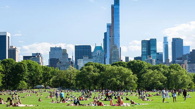Central Park in New York City