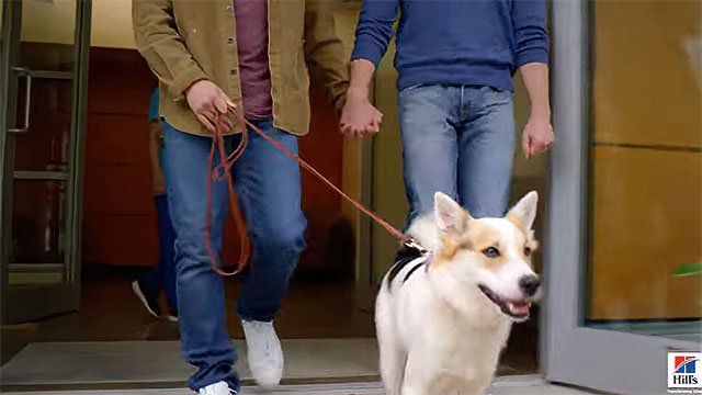 One Million Moms attacks Hill's Dog Food for including gay couple in commercial