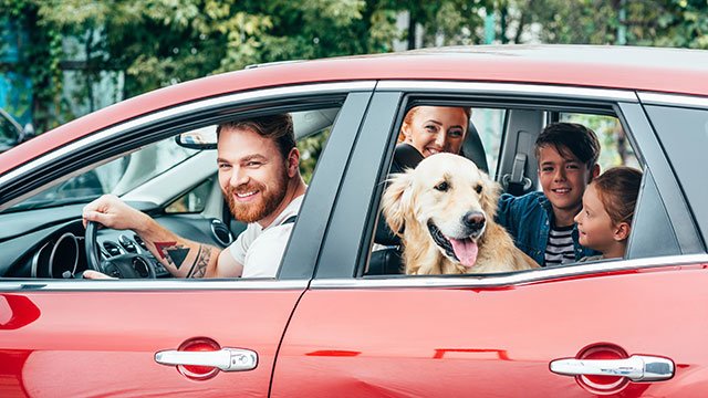 80 million Americans expected to travel this Thanksgiving holiday