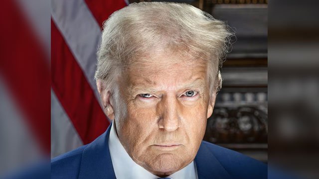 Donald Trump - official photo