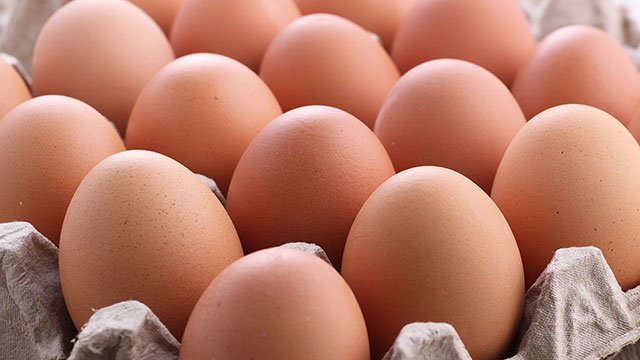 Egg prices
