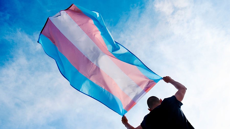 Transgender flag