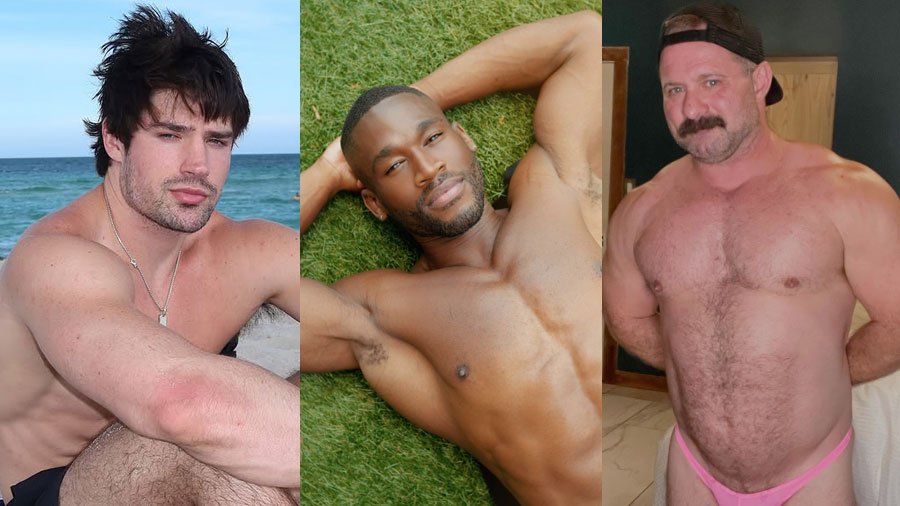 InstaHunk round-up