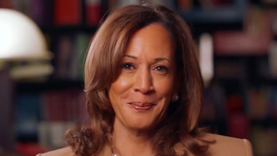 Former Vice President Kamala Harris announces new memoir "107 Days"
