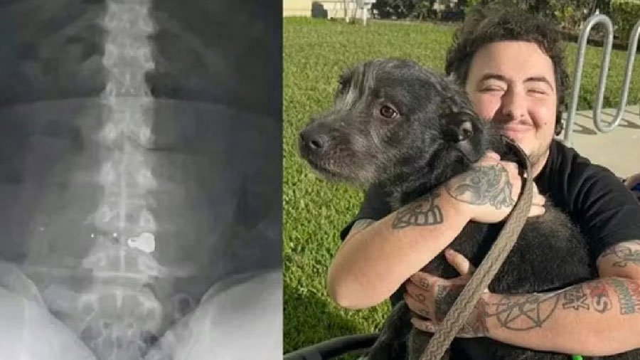 Kyle McFarlane was left partially paralyzed after his anti-LGBTQ neighbor shot him