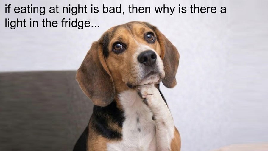 why is there a light in the fridge