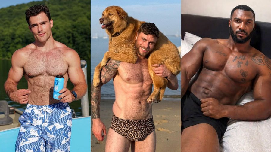 InstaHunk round-up